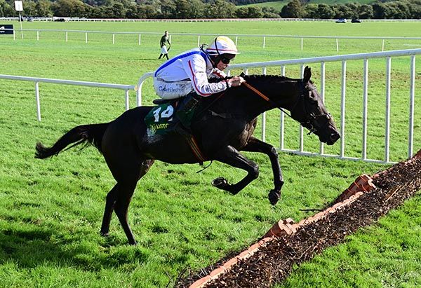 Ballyglass Beauty received a supremely confident ride from Charlie O'Dwyer at Listowel. 