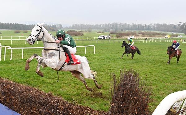 Annamix puts in a prodigious leap at the final fence