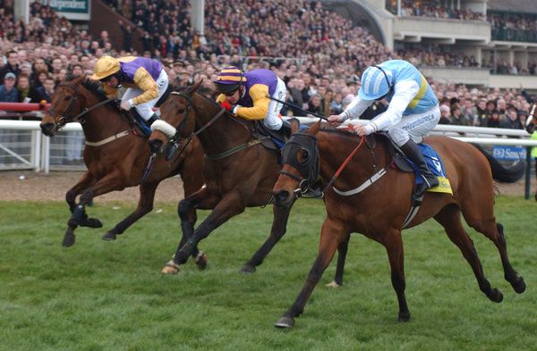 Conor winning the 2005 Champion Hurdle on Hardy Eustace