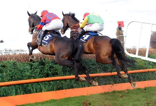 Sprinter Sacre and Sizing Europe in unison at Punchestown
