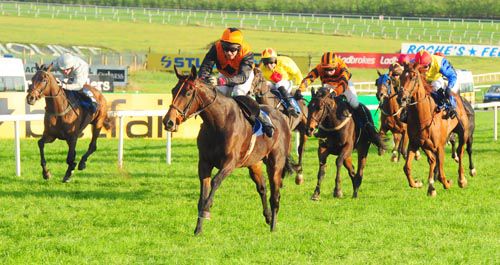 Voluptueux and Richie Kiely forge on at Limerick