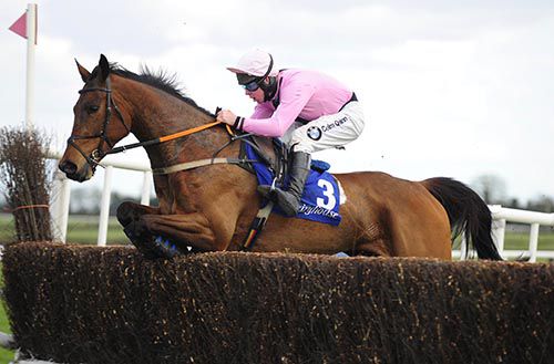 Festive Day serves up a 50/1 surprise in Fairyhouse