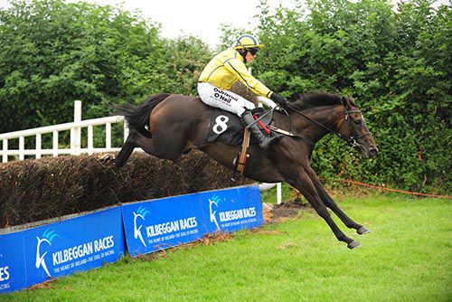 The Willie Mullins-trained Westerner Lady