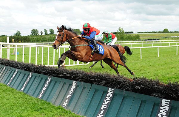 Kilganer Queen on her way to victory in Limerick