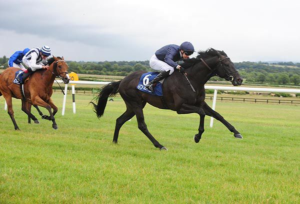 Dali & Donnacha O'Brien pictured on their way to victory