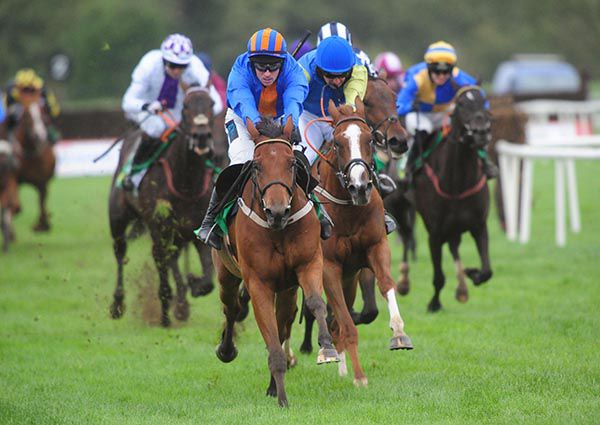 Drop The Anchor leads home his rivals under Richie Deegan