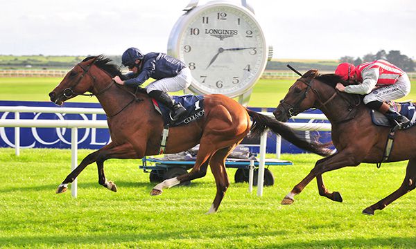 Rebel Tale (right) chases home Armory in the Futurity Stakes at the Curragh