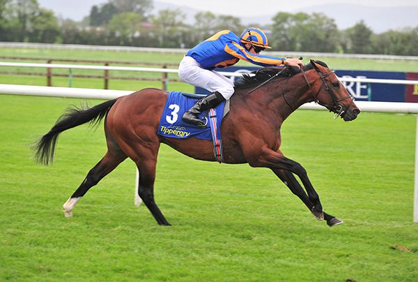 Lancaster House and Donnacha O'Brien take the Meadowview Stables Race