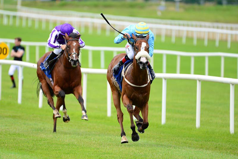 Coill Avon heads for home