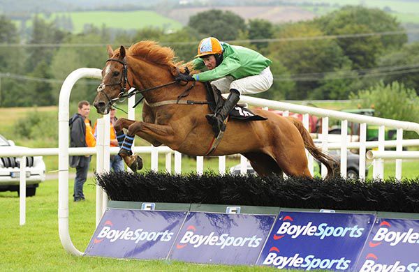        General Gold and Barry Browne jump the last 