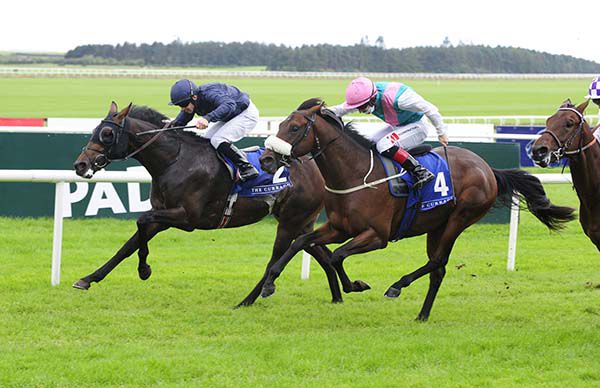 Brazil and Wayne Lordan (left) beat Color Seargent 