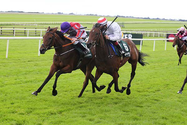 Star Image and Gavin Ryan (left) beat Omakase by a head