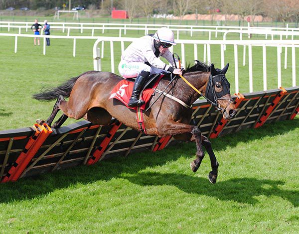 Sole Pretender is favourite for the Grimes Hurdle at Tipperary

