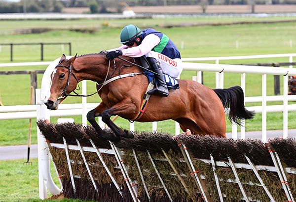 Danny Mullins sends Stormy Ireland for home