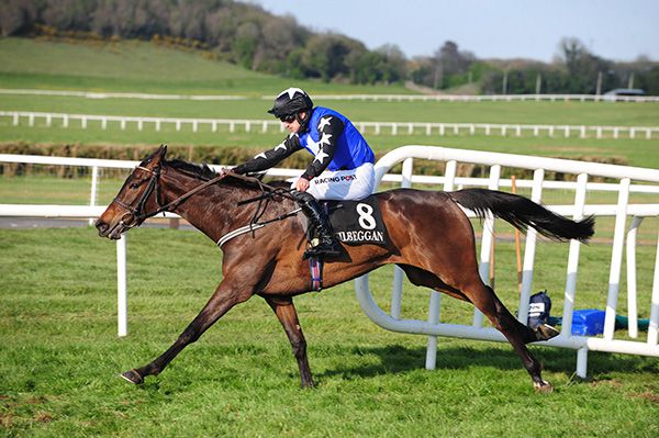 Never Feel Blue and Patrick Mullins