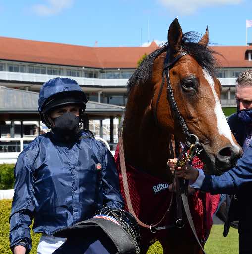 Armory - 4th this afternoon for Ballydoyle at York