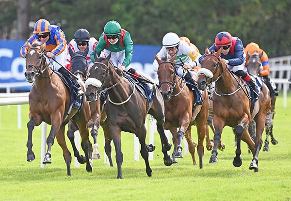 Twinkle, left, has been awarded race two in Galway after the disqualification of Alizarine, white cap