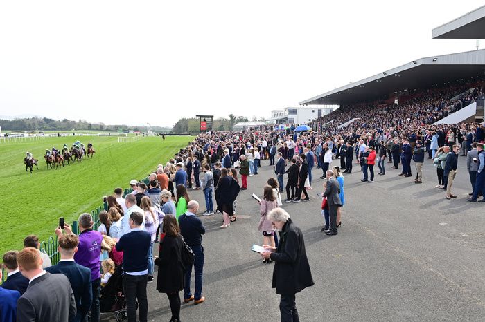 punchestown betting offers