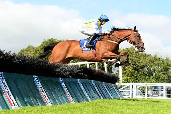 Ardamir and Rachael Blackmore in winning form