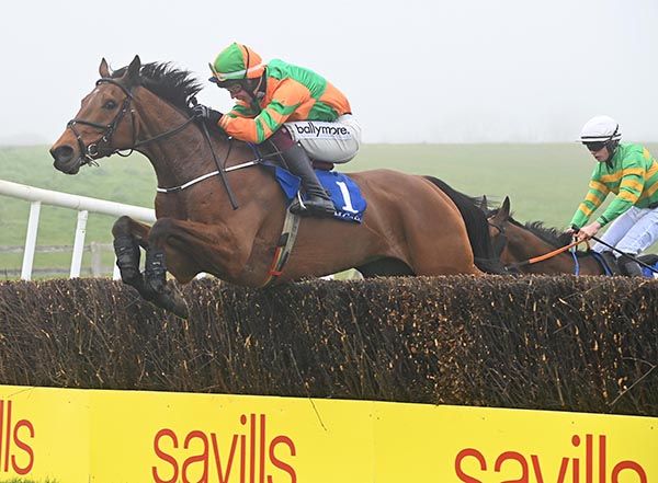 Brideswell Lad in winning form