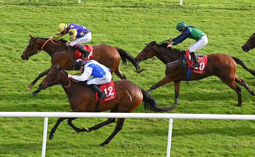 Earls (far side) gets up close home to beat What Lies Ahead (nearest) and Blairmayne
