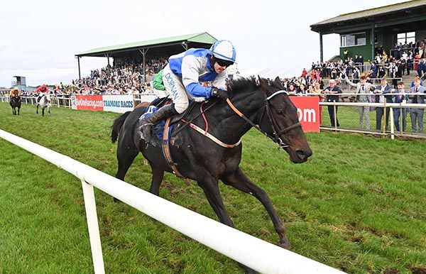Paidi's Passion leads home her rivals under Darragh O'Keeffe
