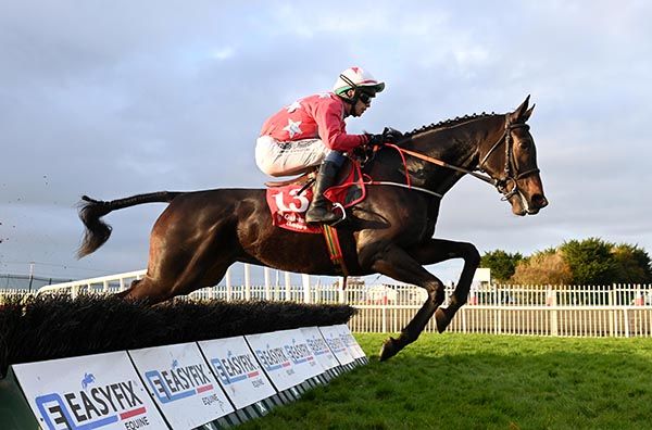 El Champo makes the running in Galway